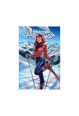 Marvel The Amazing Spider-Man #40
