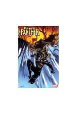 Marvel Black Panther #9 (2024)
