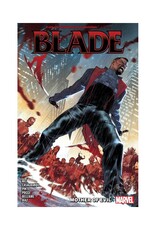 Marvel Blade Vol. 1: Mother of Evil TP