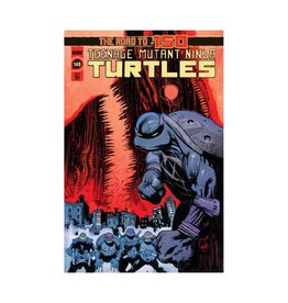 IDW Teenage Mutant Ninja Turtles #148 1:10 James Harren Variant