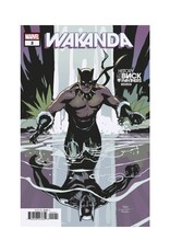 Marvel Wakanda #2