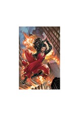 Van Helsing Annual: Bride of the Night #1