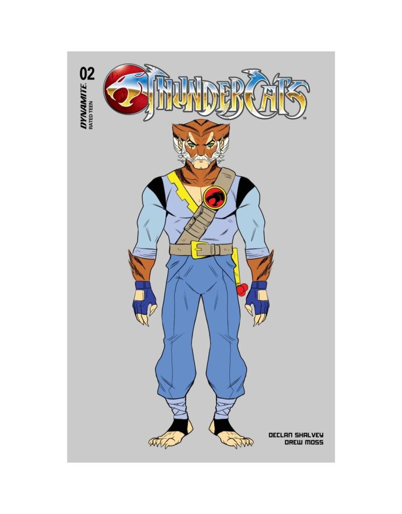 Thundercats #2 Cover K 1:10 Drew Moss Original Lion-O Character Design Variant