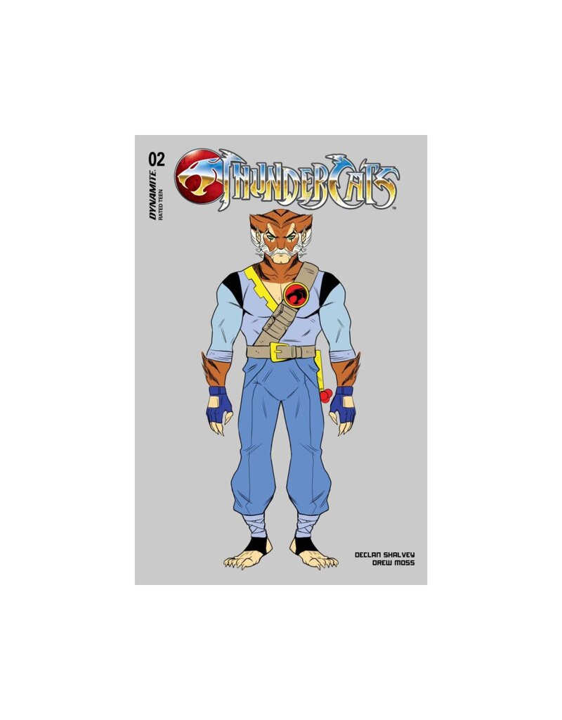 Thundercats #2 Cover K 1:10 Drew Moss Original Lion-O Character Design Variant