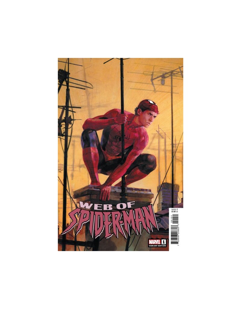 Marvel Web of Spider-Man #1