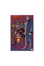 Marvel Web of Spider-Man #1