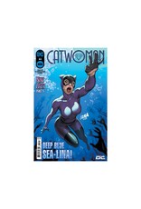 DC Catwoman #63