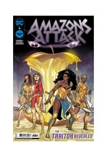 DC Amazons Attack #6