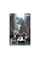 DC Batman and Robin #8
