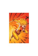 Thundercats #3 Cover O 1:15 David Nakayama Foil Virgin Variant
