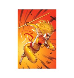 Thundercats #3 Cover O 1:15 David Nakayama Foil Virgin Variant