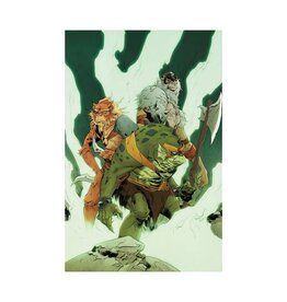 Thundercats #3 Cover T 1:30 Jae Lee Virgin Variant