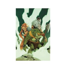 Thundercats #3 Cover T 1:30 Jae Lee Virgin Variant
