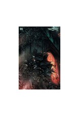 DC Batman: The Brave and the Bold #12
