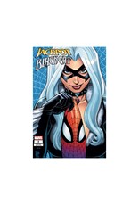 Marvel Jackpot and Black Cat #2 1:25 Arthur Adams Variant