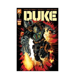 Image Duke #5 Cover D 1:25 Brian Level Variant