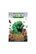 Marvel The Incredible Hulk #12