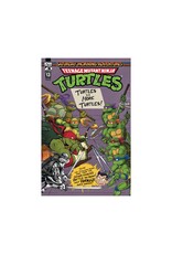 IDW Teenage Mutant Ninja Turtles: Saturday Morning Adventures #13
