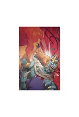 Thundercats #4 Cover O 1:15 David Nakayama Foil Virgin Variant