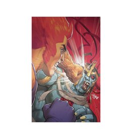 Thundercats #4 Cover O 1:15 David Nakayama Foil Virgin Variant