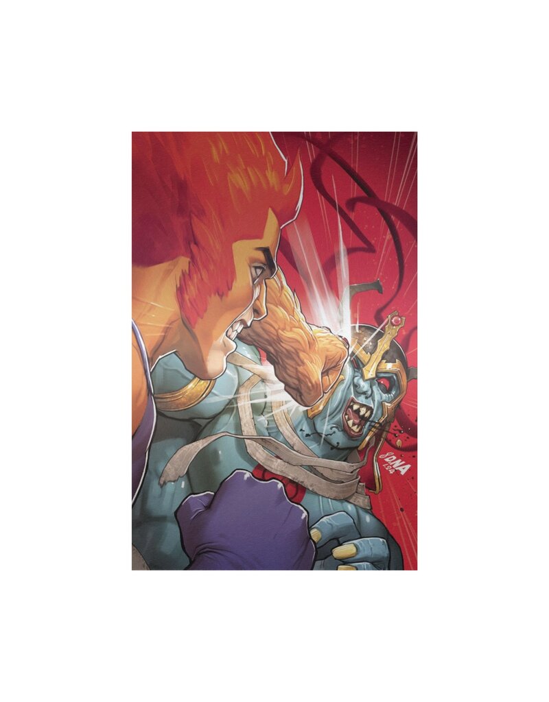 Thundercats #4 Cover O 1:15 David Nakayama Foil Virgin Variant