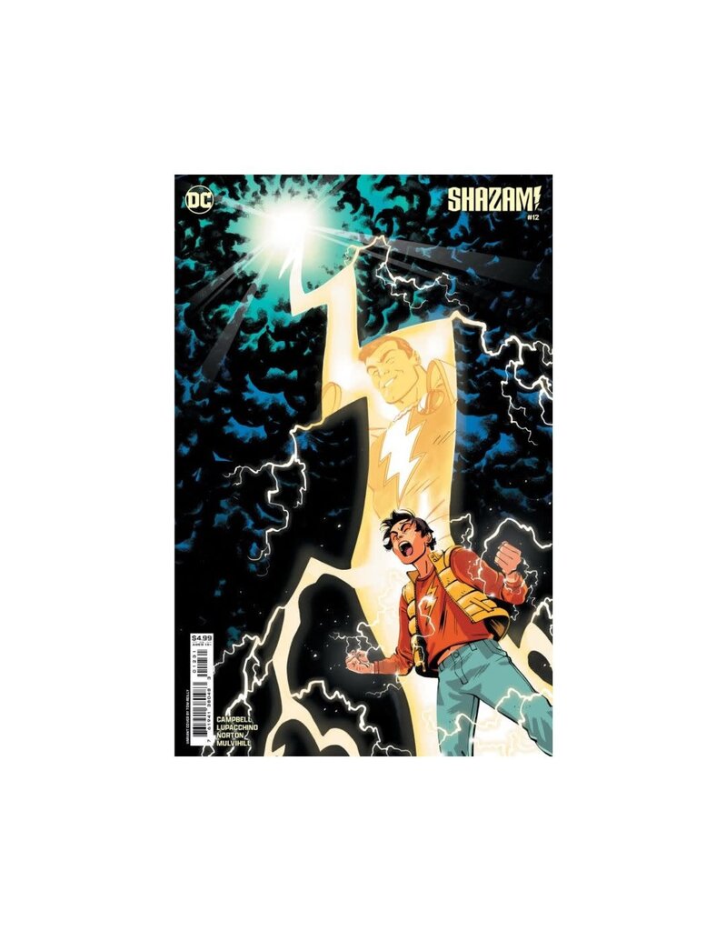 DC COMICS Shazam! #12 Cover B Tom Reilly Card Stock Variant