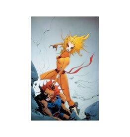 Thundercats #5 Cover U 1:30 Jae Lee Virgin Variant