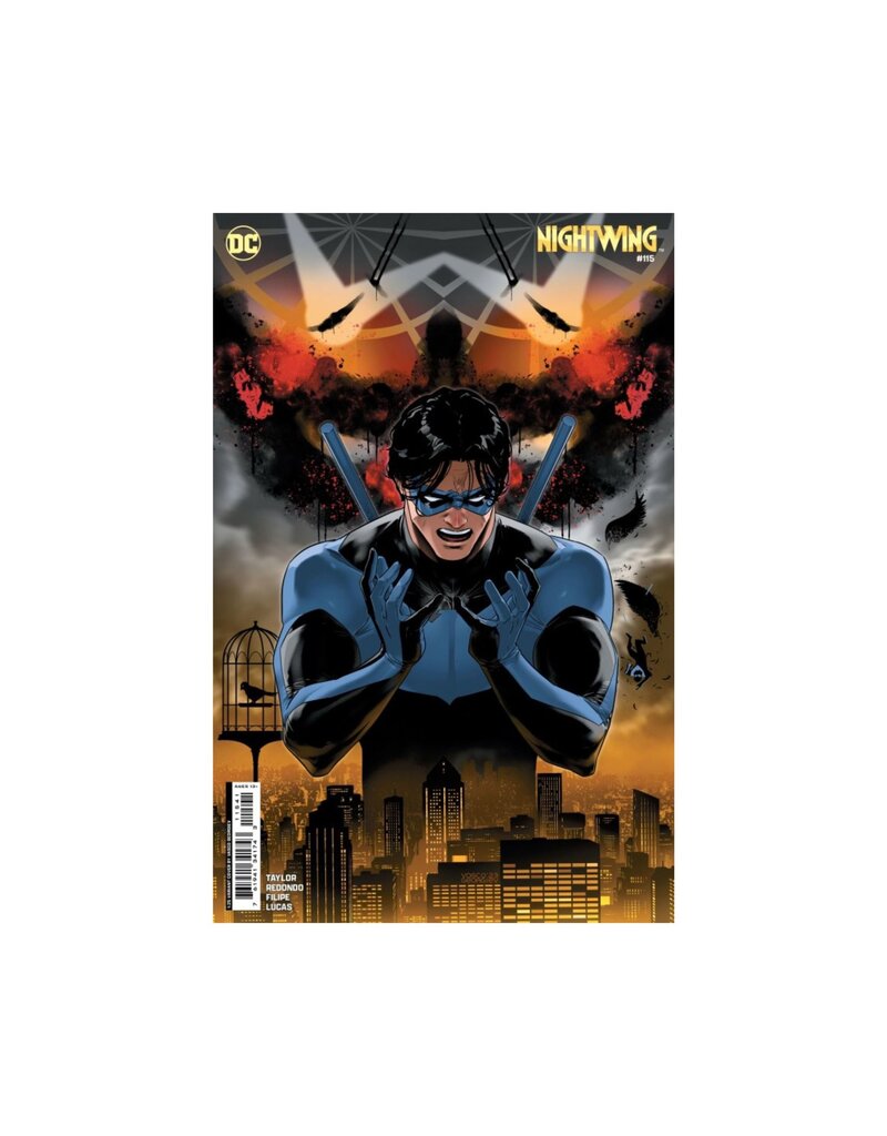 DC COMICS Nightwing #115 Cover E 1:25 Vasco Georgiev Card Stock Variant