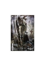 DC COMICS Detective Comics #1086 Cover B Seb McKinnon Card Stock Variant