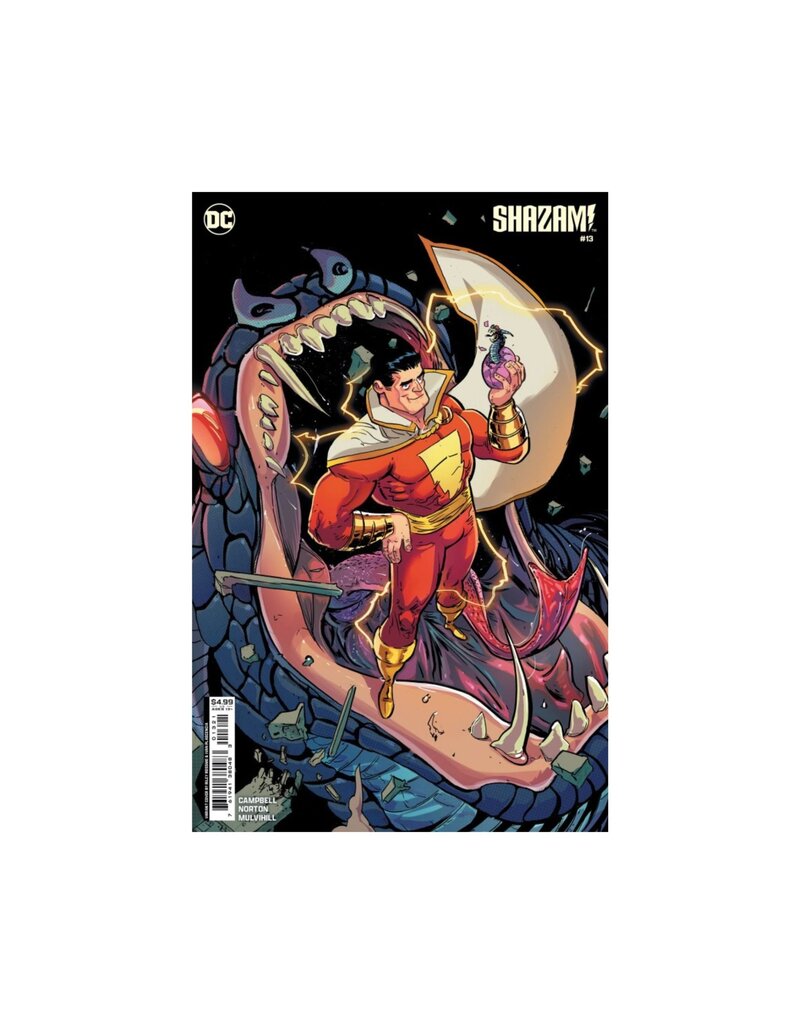 DC COMICS Shazam! #13 Cover B Riley Rossmo Card Stock Variant