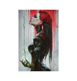 ZENESCOPE ENTERTAINMENT INC Van Helsing: Hexed #1 Cover D Ivan Tao Variant