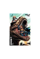 DC COMICS Birds of Prey #11 Cover C Serg Acuña Card Stock Variant