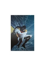 Space Ghost #3 Cover L 1:15 Jae Lee Virgin Spider-man 1 Homage Foil Variant