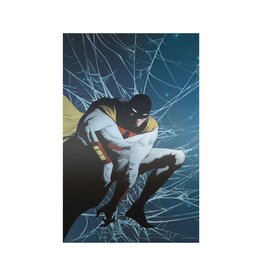 Space Ghost #3 Cover L 1:15 Jae Lee Virgin Spider-man 1 Homage Foil Variant