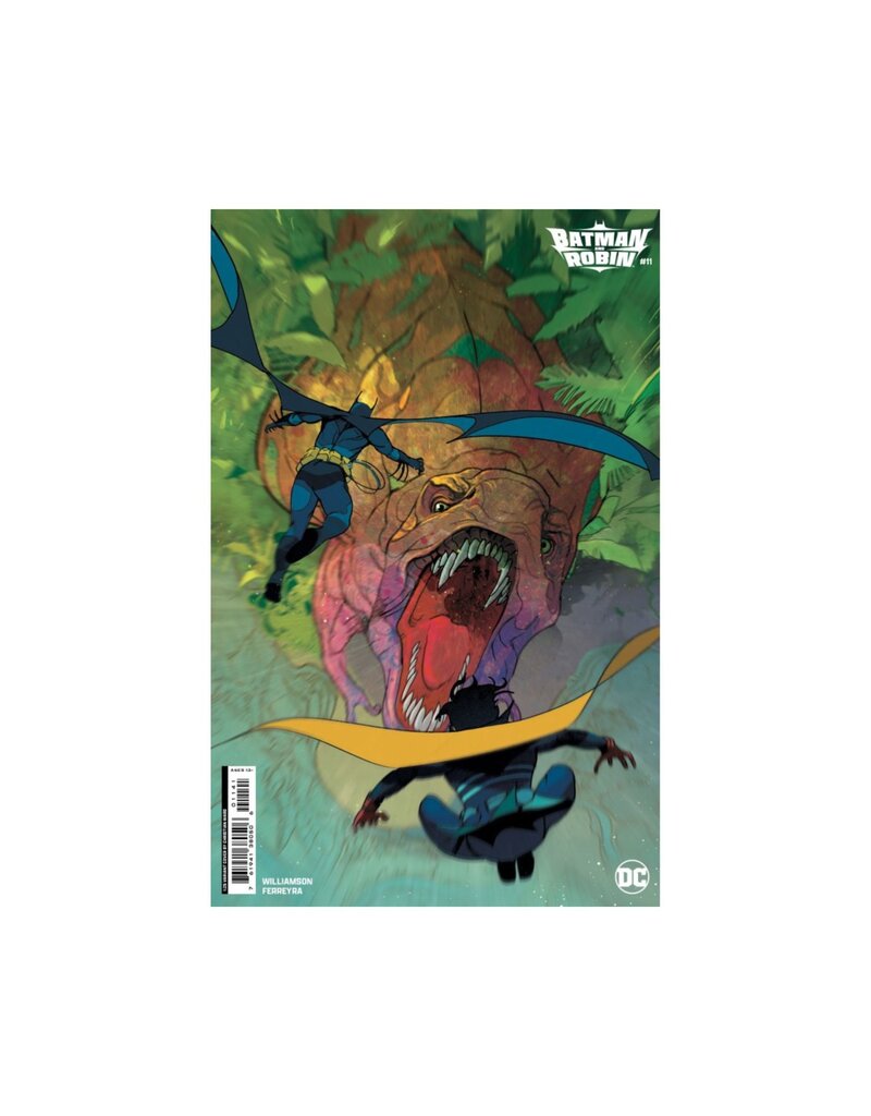 DC COMICS Batman and Robin #11 Cover D 1:25 Christian Ward Card Stock Variant