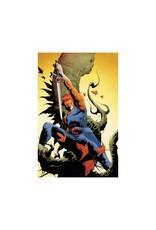 Thundercats #6 Cover W 1:30 Jae Lee Virgin Variant