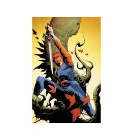 Thundercats #6 Cover W 1:30 Jae Lee Virgin Variant