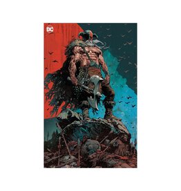 DC COMICS Dark Knights of Steel: Allwinter #1 Cover E 1:25 Dan Panosian Card Stock Virgin Variant