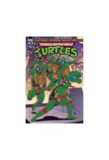 IDW-PRH Teenage Mutant Ninja Turtles: Saturday Morning Adventures #15 Cover B Felipe Cunha Variant