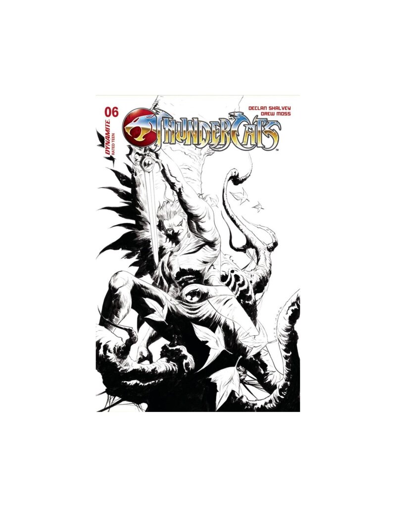 Thundercats #6 Cover S 1:20 Jae Lee Line Art Variant