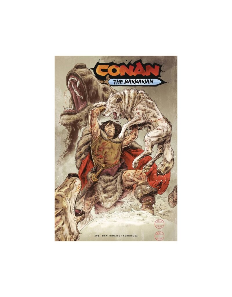 Conan the Barbarian #13 Cover C Doug Braithwaite Variant