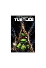 IDW-PRH Teenage Mutant Ninja Turtles #1 Cover C Kevin Eastman Variant