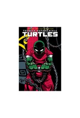 IDW-PRH Teenage Mutant Ninja Turtles #1 Cover D J. Gonzo Variant