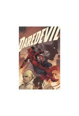 Marvel Daredevil by Chip Zdarsky Omnibus Vol. 1 HC Marco Checchetto DM Edition