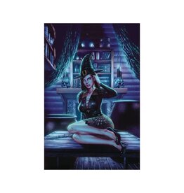 ZENESCOPE ENTERTAINMENT INC Grimm Fairy Tales #86 Cover C Geebo Vigonte Variant