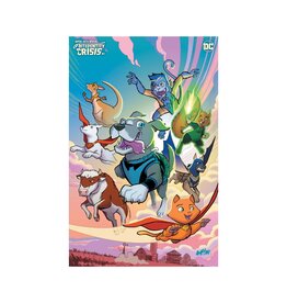 DC COMICS Super-Pets Special: Bitedentity Crisis #1 Cover C Tony Fleecs Card Stock Variant