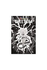 ThunderCats: Cheetara #2 Cover L 1:15 Ted Brandt & Ro Stein Black & White Variant