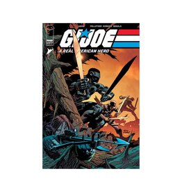 IMAGE COMICS G.I. Joe: A Real American Hero #309