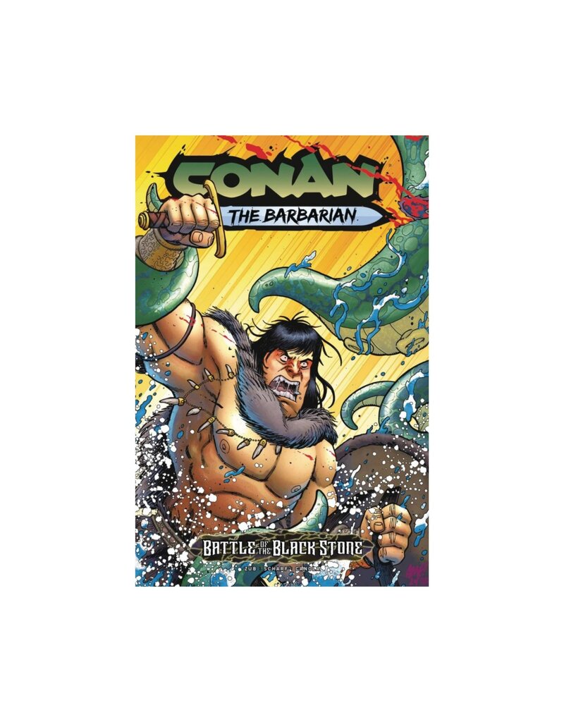 Conan: Battle of the Black Stone #1 Cover E Tony Fleecs Variant