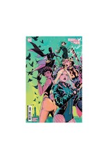 DC COMICS Birds of Prey #13 Cover F 1:25 Travis Mercer Card Stock Variant